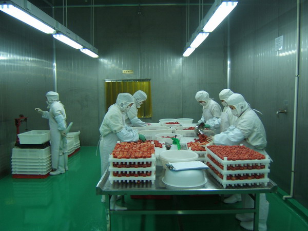 生鲜物流冷库冷链在零售企业的重要性及制胜关(图1)