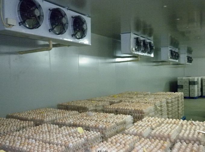 禽蛋放置在保鲜冷库的存储方法和注意事项(图2)