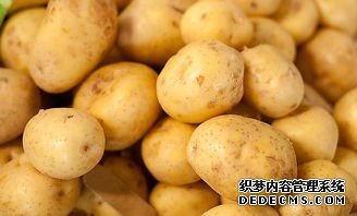 土豆马铃薯保鲜冷库(图1)