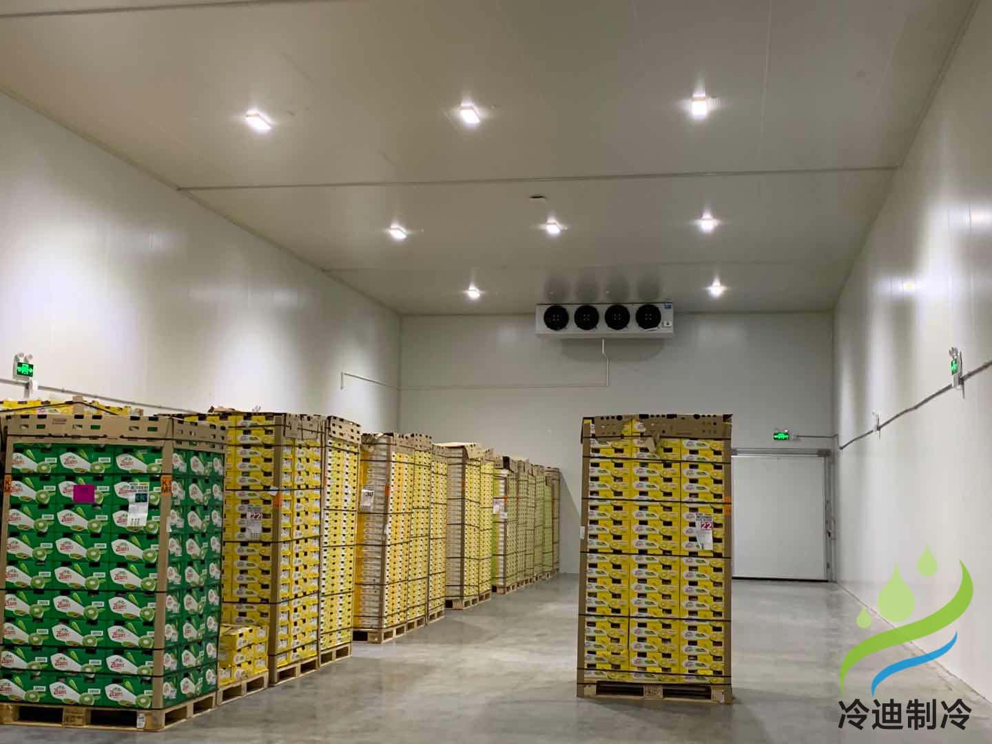 上海天天果园7320m³大型食品电商冷库工程及旧库检修项目