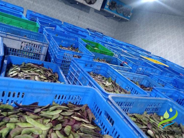 豆角冷库