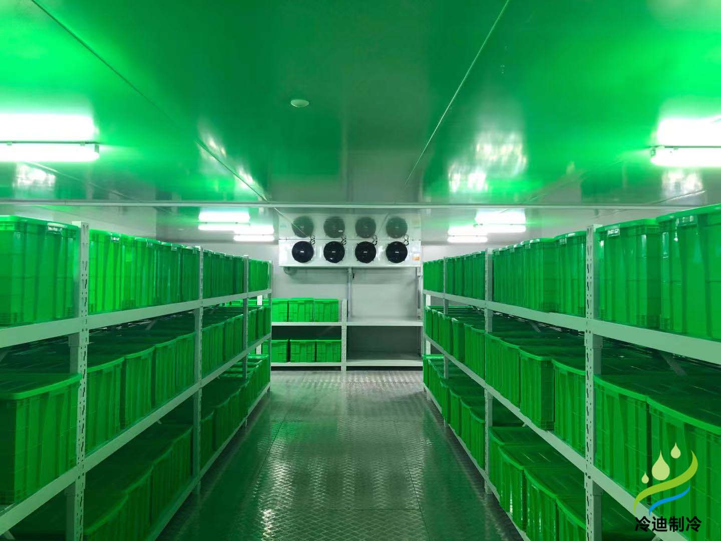 医药冷库造价