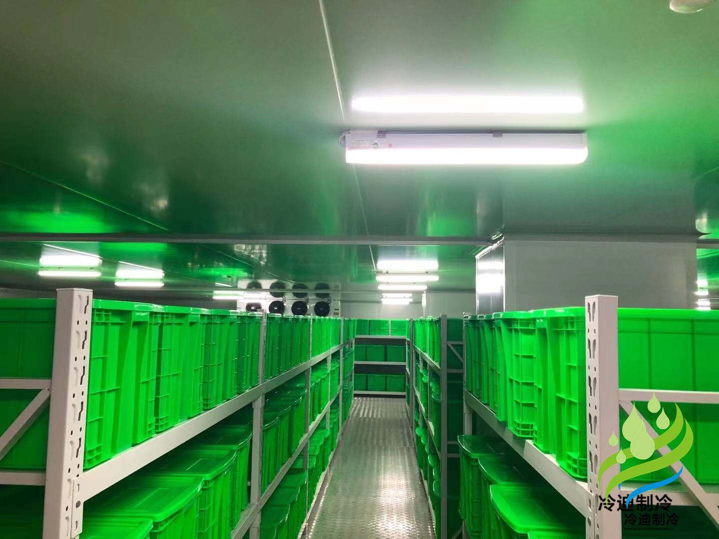 生物医药冷库造价