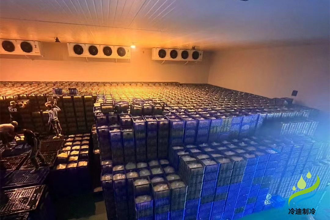 二氧化碳冷库维修