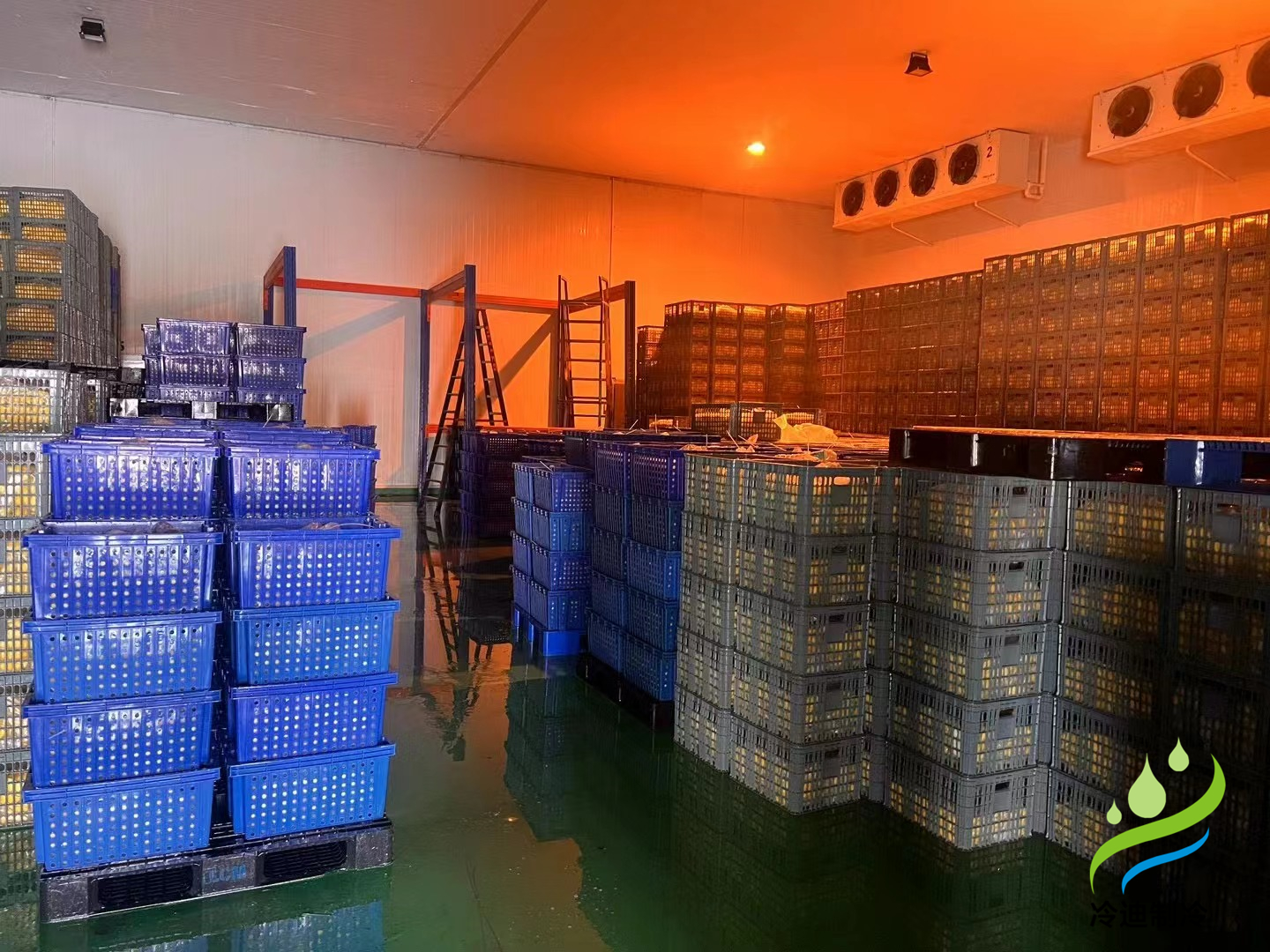 二氧化碳冷库维修