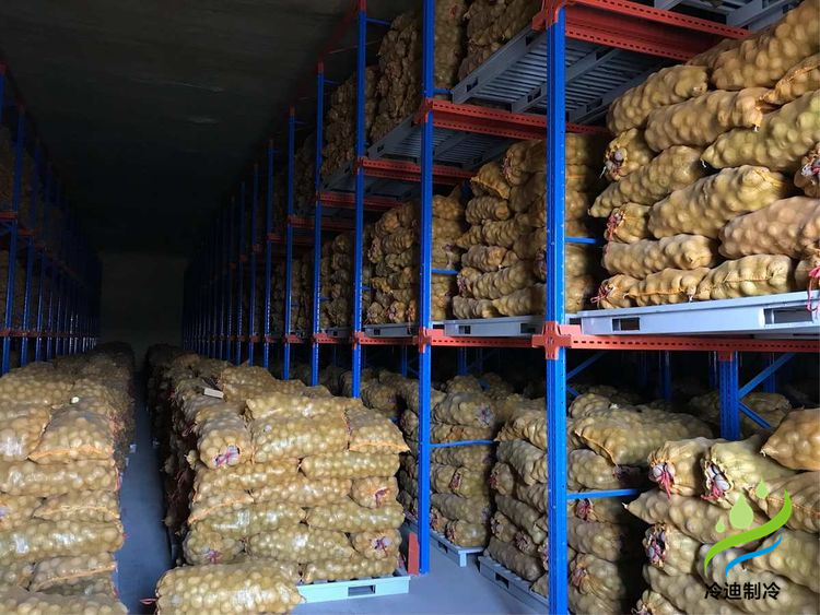 建造100吨土豆冷库面积及冷库造价多少钱？