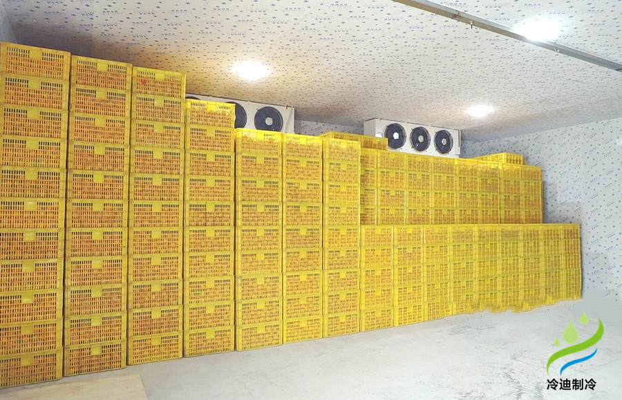 柑橘冷库保鲜温度，柑橘冷库储存1-9个月方法介绍