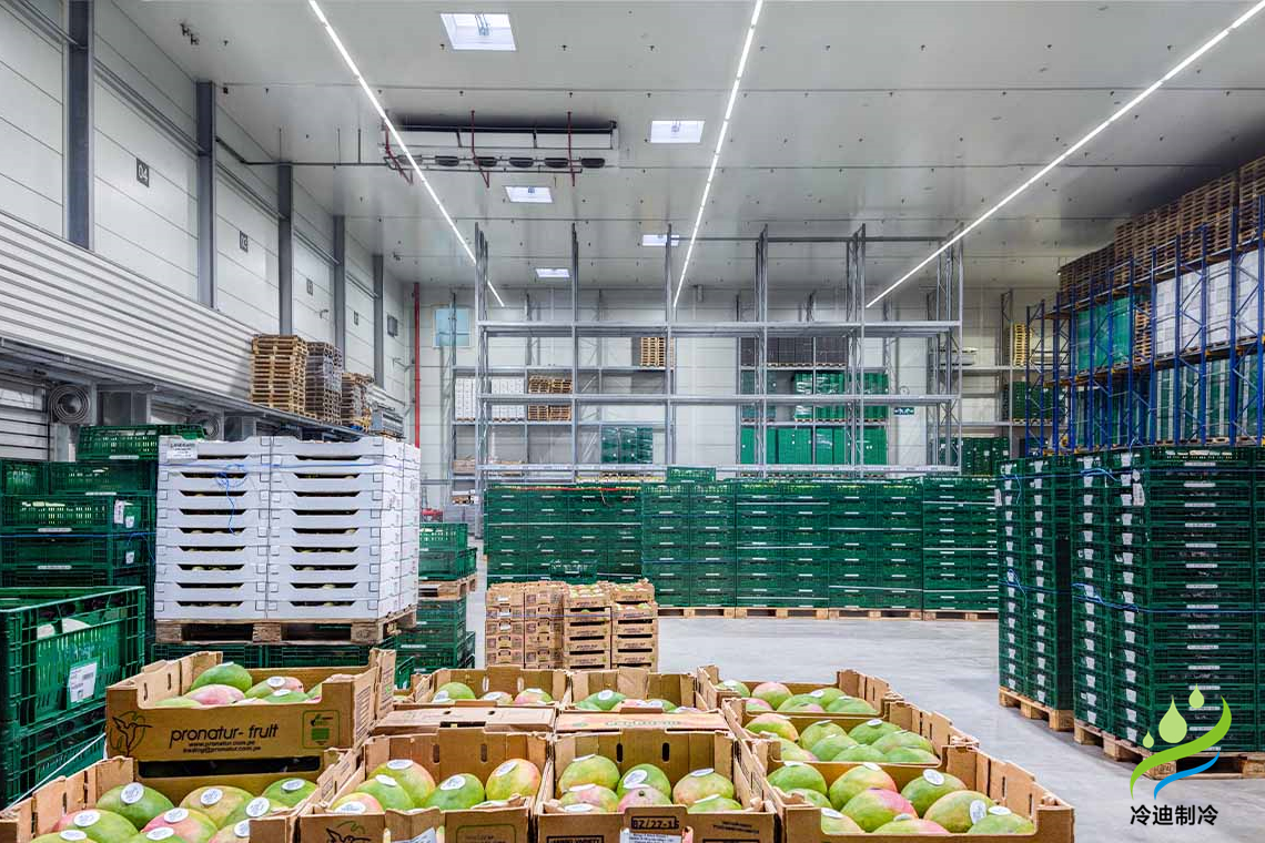 安装一个500平方米食品冷库造价要多少钱？