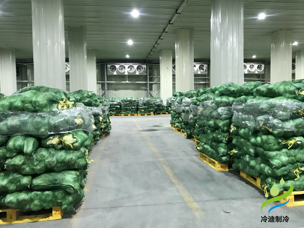 安装1000吨果蔬保鲜冷库造价大概多少钱？