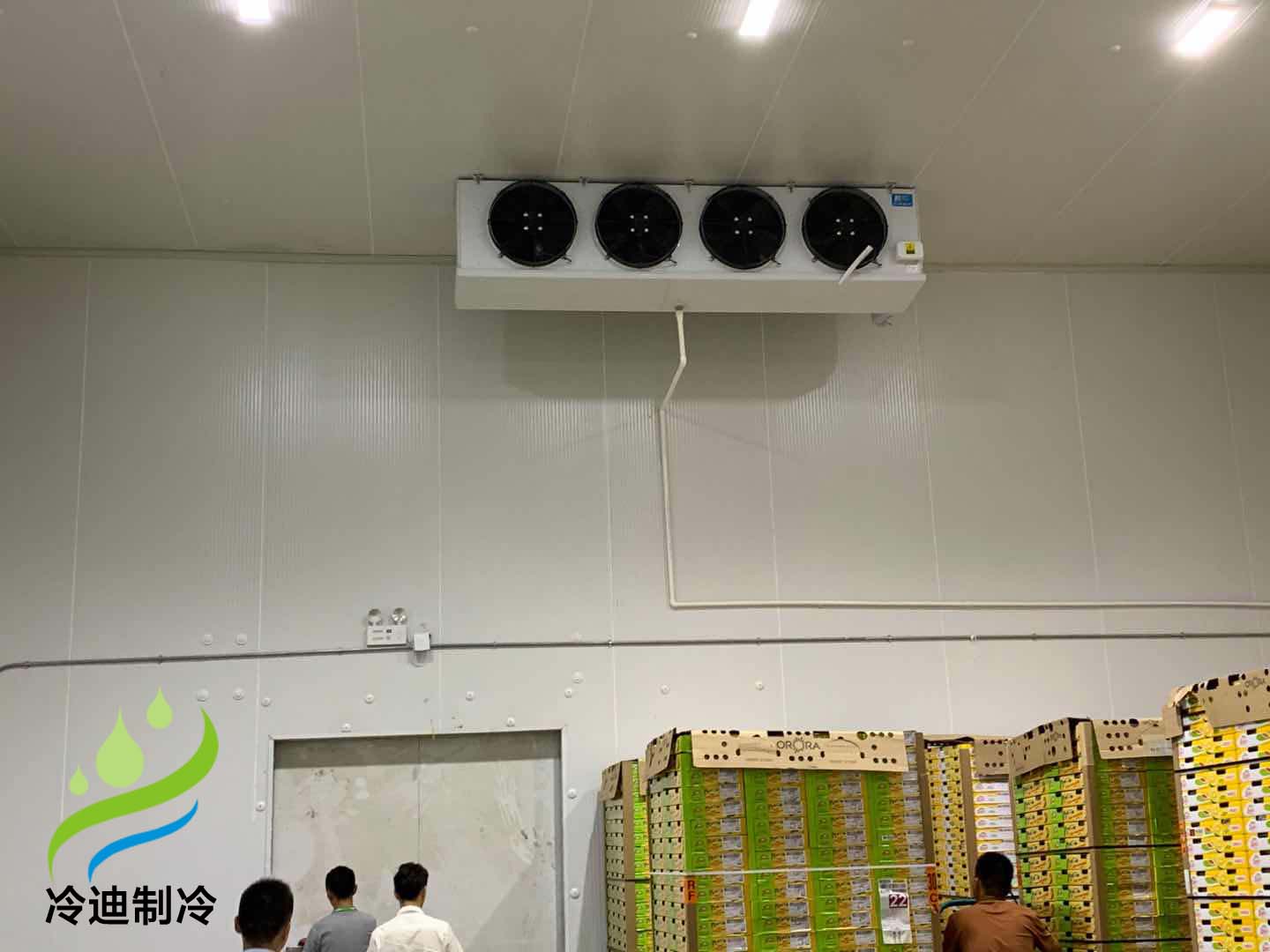 各类果蔬冷库可以保鲜多久？果蔬保鲜冷库储存技术分享