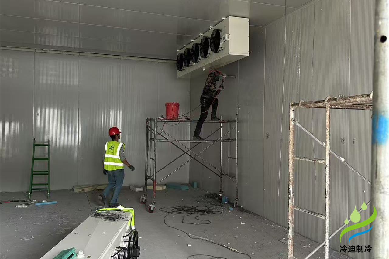 浙江杭州500立方医药冷库建造案例(图1) 医药冷库