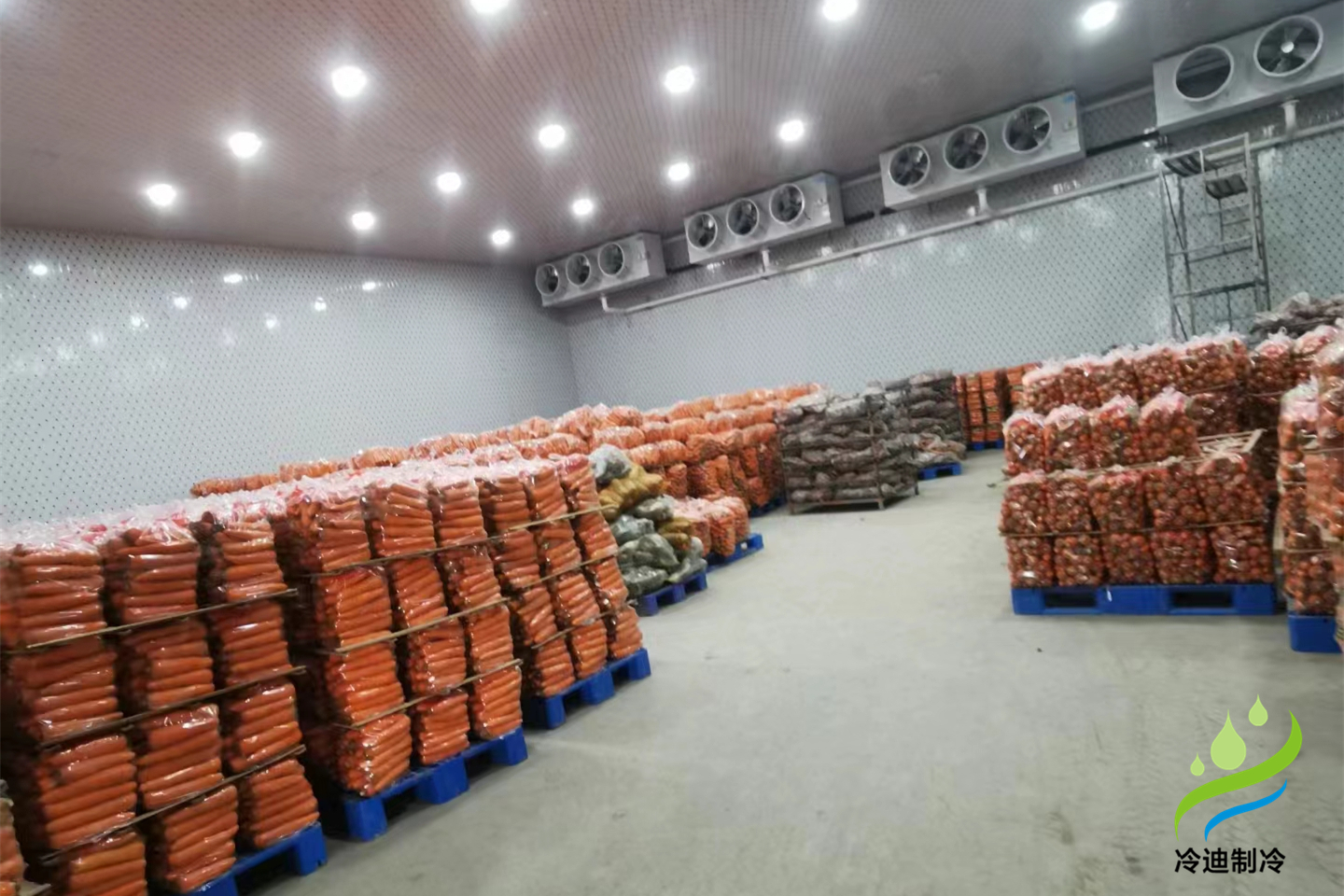 建造冷库需要哪些费用(图2)