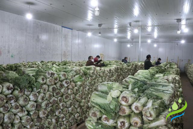 500平方保鲜冷库建造费用明细(图2)