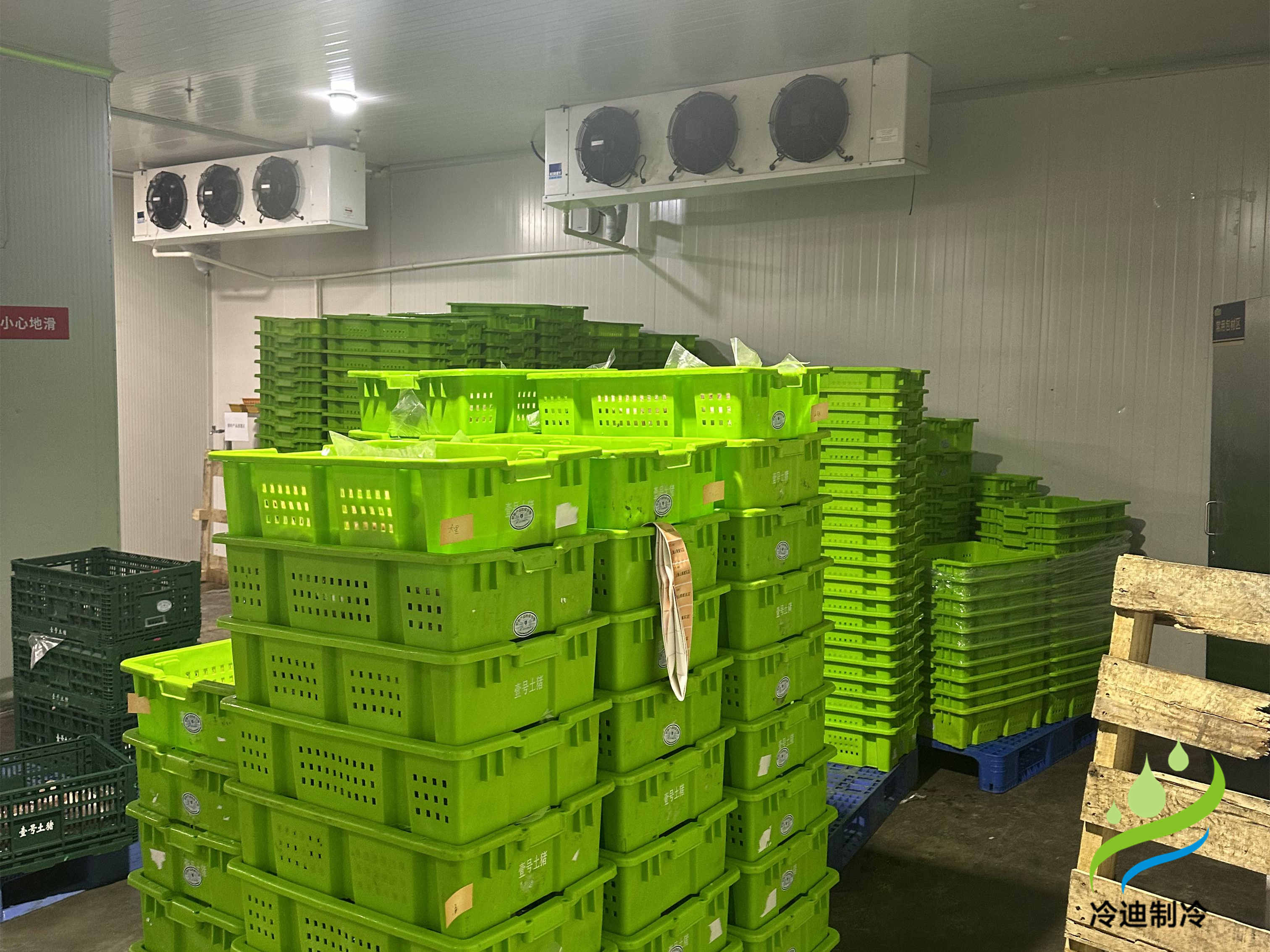 建造一座30吨冷库造价需要多少钱？