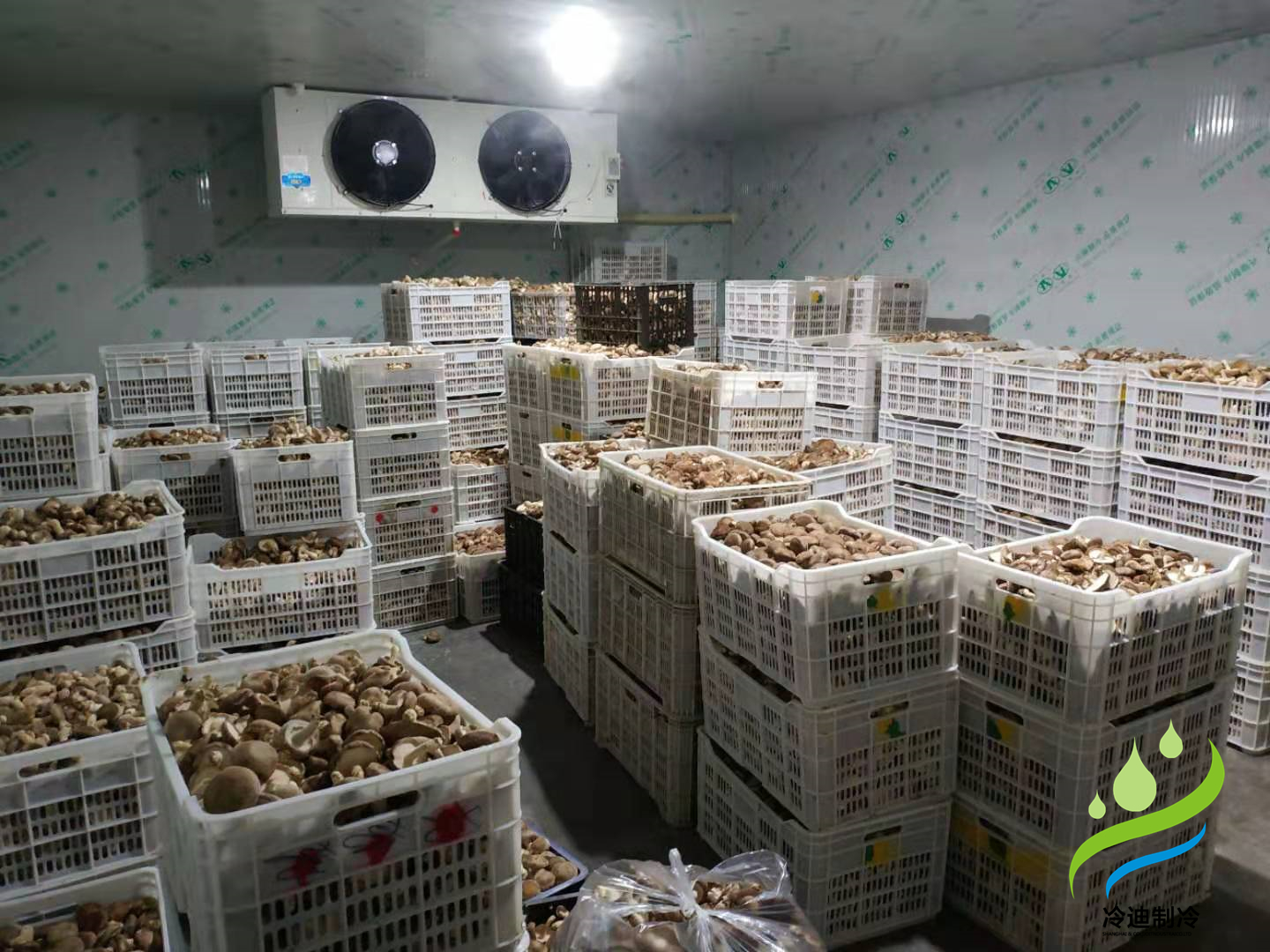 菌菇保鲜冷库