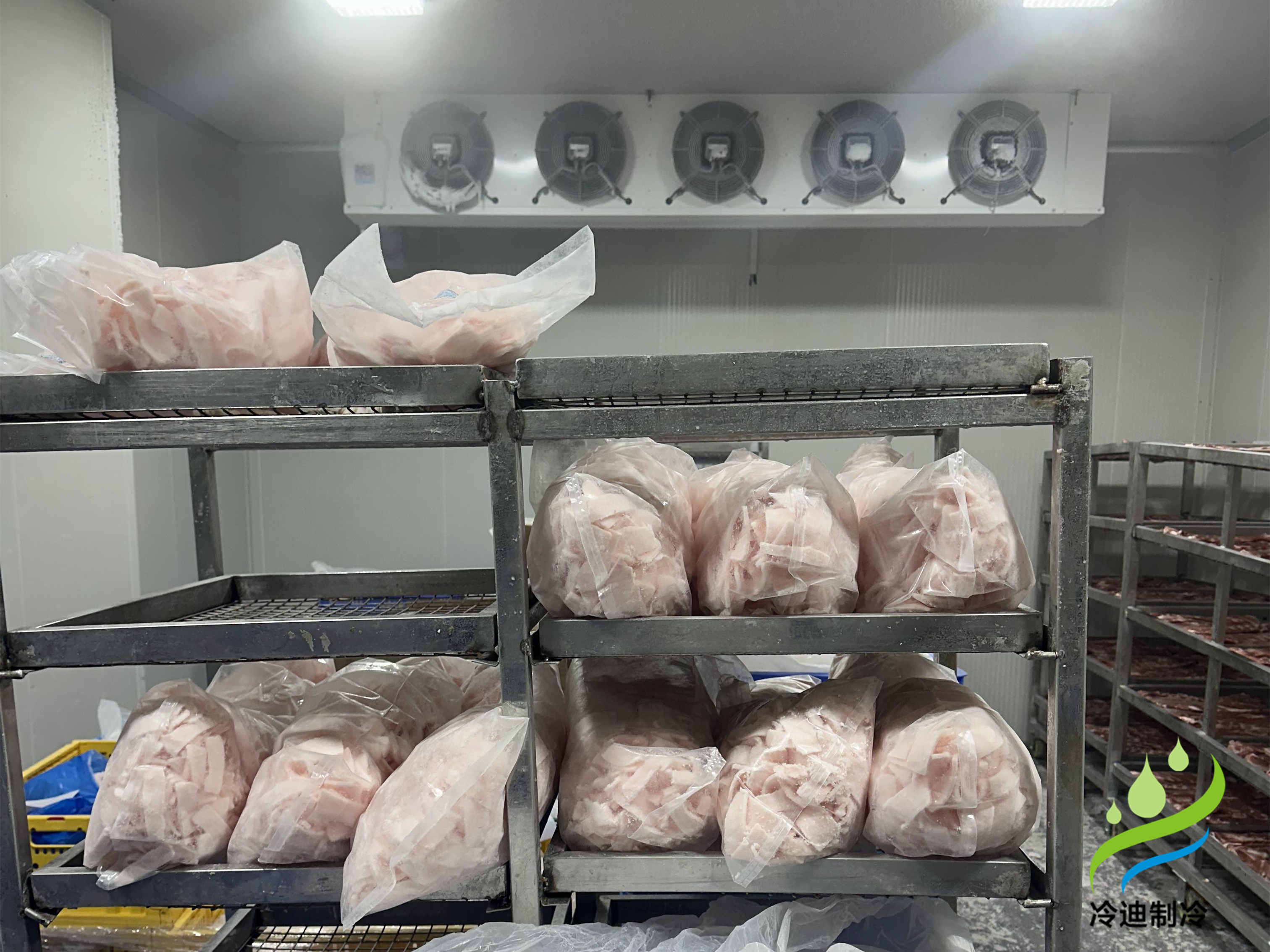 冷冻库