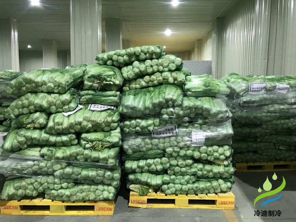 蔬菜保鲜冷库