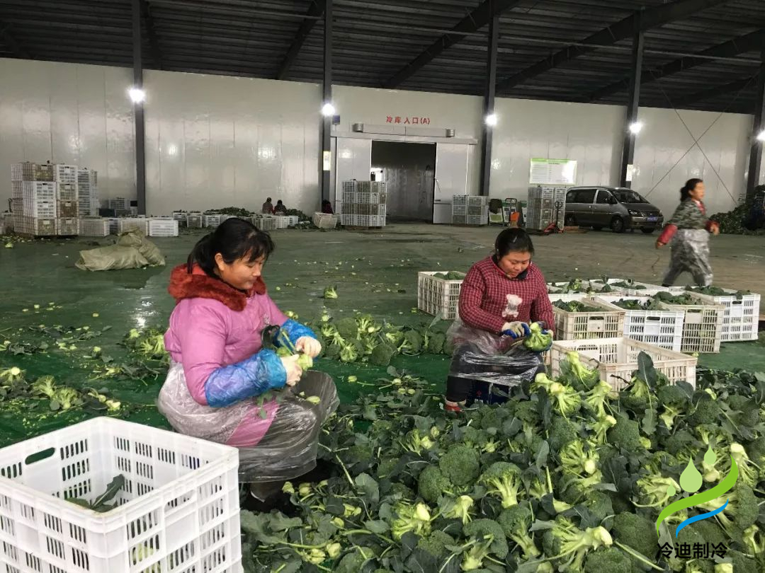 果蔬保鲜冷库
