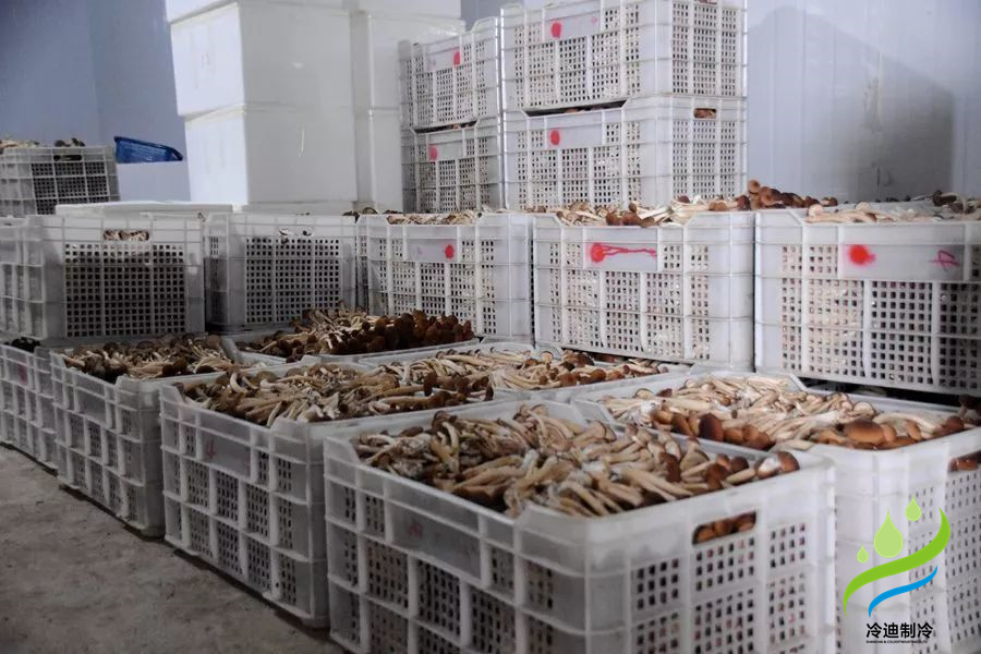 菌菇保鲜冷库