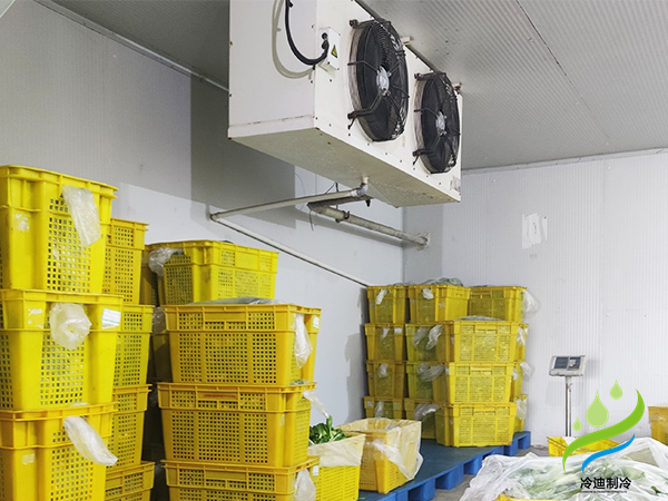 黄瓜保鲜冷库